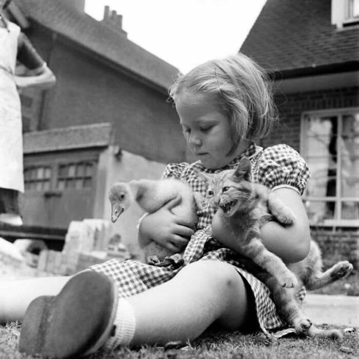 76 Vintage Photos Of Cats Posing With Famous People And Interesting Personalities (New Pics)