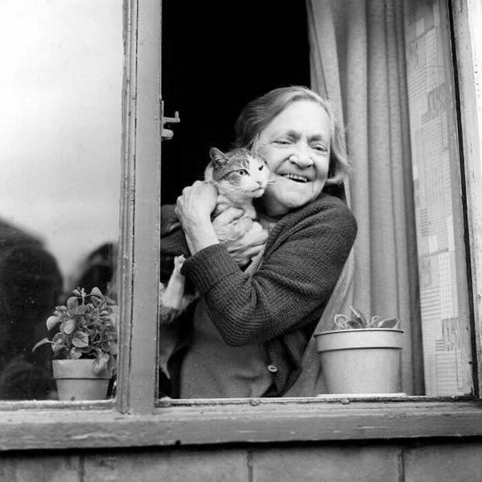 76 Vintage Photos Of Cats Posing With Famous People And Interesting Personalities (New Pics)