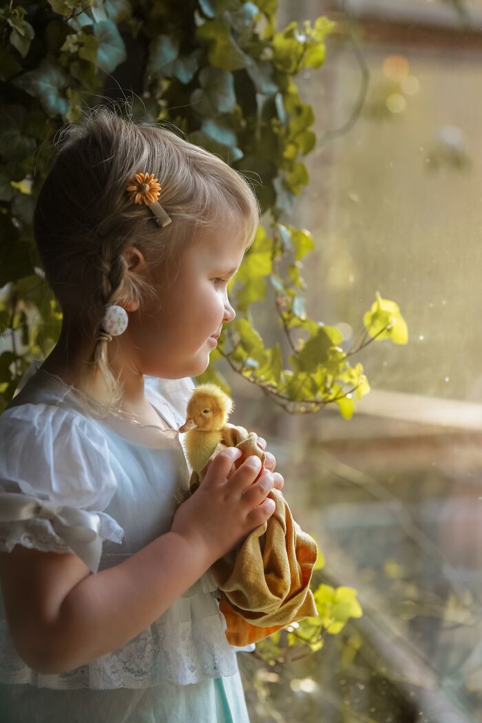 Woman Captures The Unconditional Love Between Her 3-Year-Old Daughter And Baby Ducklings