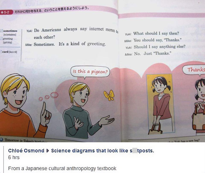 Excerpt from a Japanese textbook discussing American greeting habits, featuring characters Yuki and Mike in conversation. The dialogue includes phrases about saying "Thanks" and a humorous "Is this a pigeon?" meme reference.