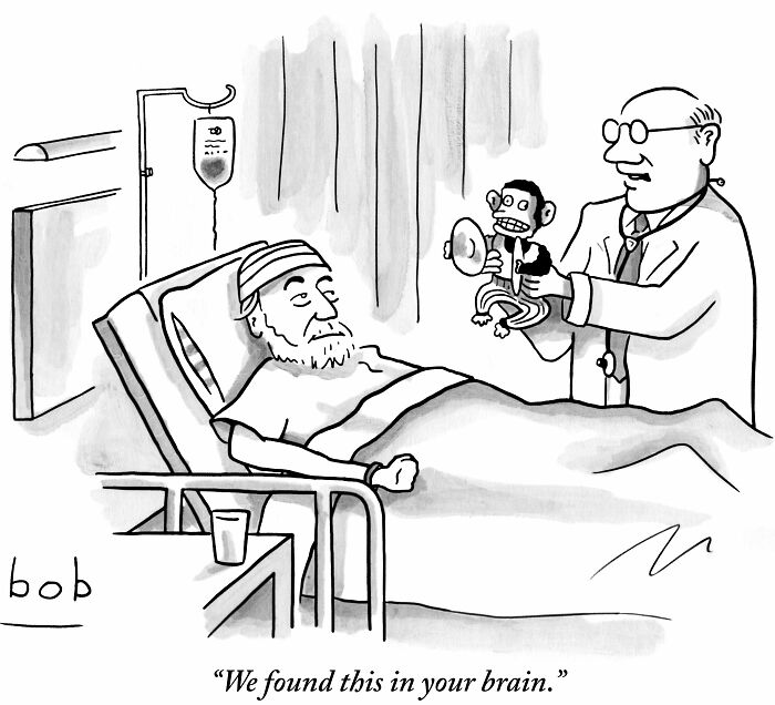 Doctor holding a toy monkey beside a patient in hospital bed; humorous cartoon scenario.