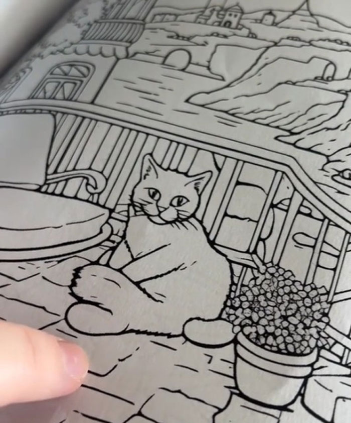 Woman Thinks She Bought A “Normal” Kitty Coloring Book, Starts Noticing Odd Things About It