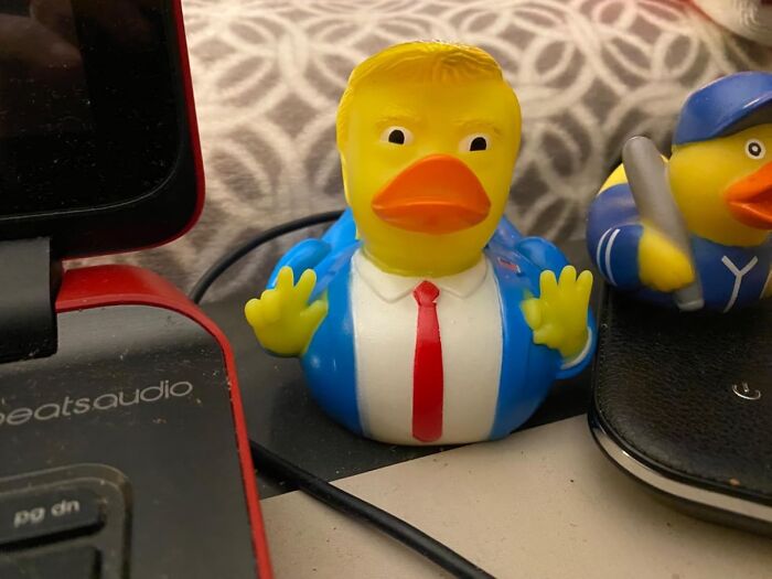  Rubber Duck Trump: Rumour Has It You Can See These Floating Around The Ponds At Mar-A-Lago