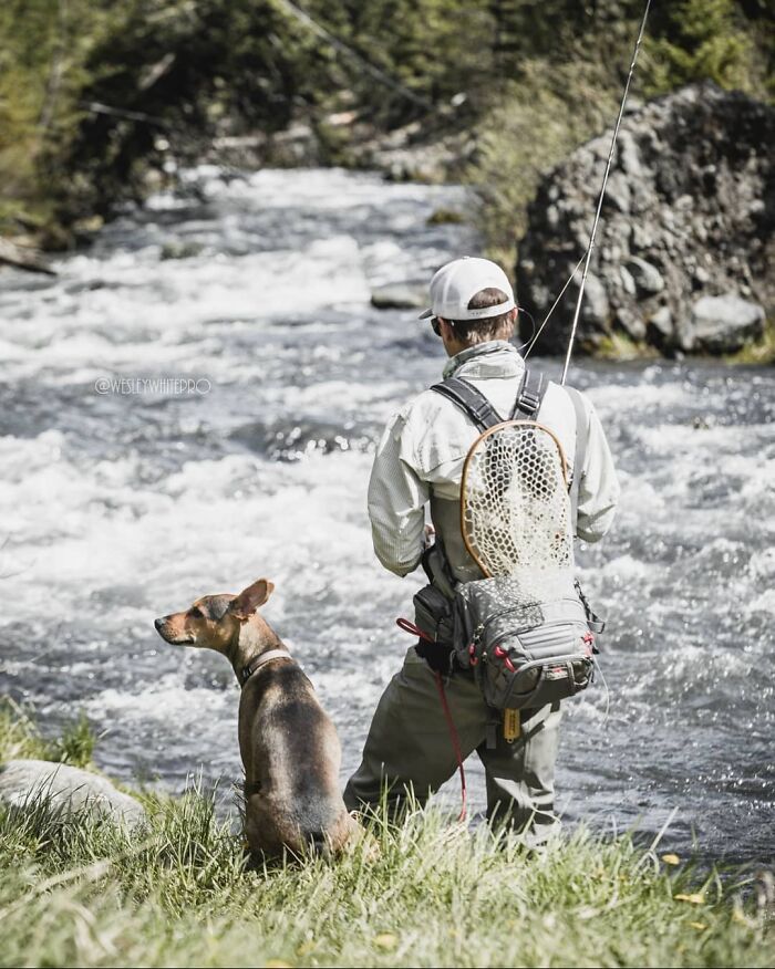 Man fishing by a river, a dog sitting beside him, showcasing a heartwarming rescue story from a remote island.