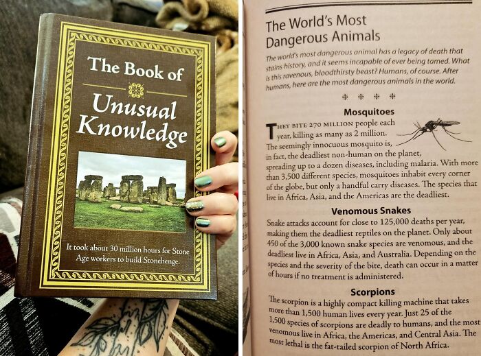 Seems Like We Have Some Curious Pandas Out There! The Book Of Unusual Knowledge Remains A Top Seller!