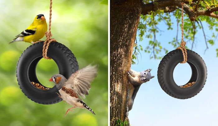  Swing Tire Bird Feeder: The Chicest Drive-Thru For Your Feathered Friends!