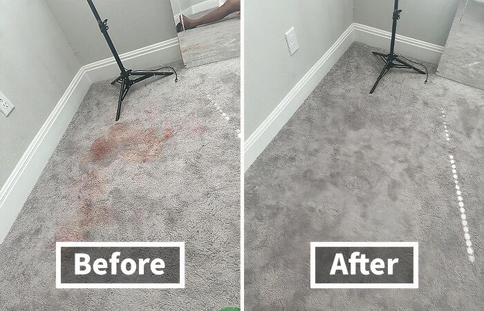  Instant Carpet Spot Remover: The Only Stain Remover That Can Handle A Panda's Messes