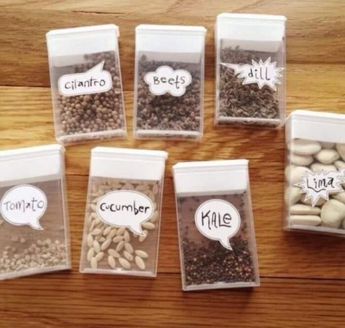 Tic - Tac Containers To Save Seeds.. Cute Idea!