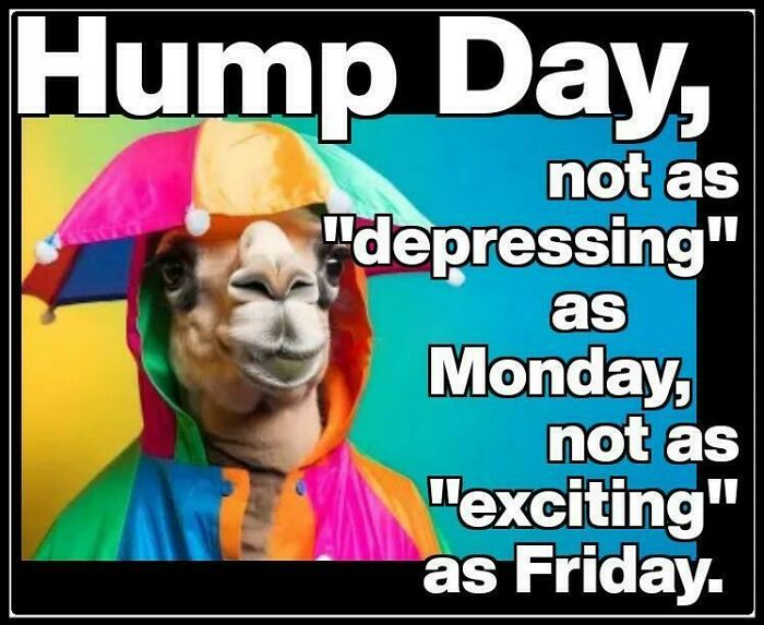 A camel wearing a colorful jester's hat and outfit, with a colorful background. The text reads, "Hump Day, not as 'depressing' as Monday, not as 'exciting' as Friday."