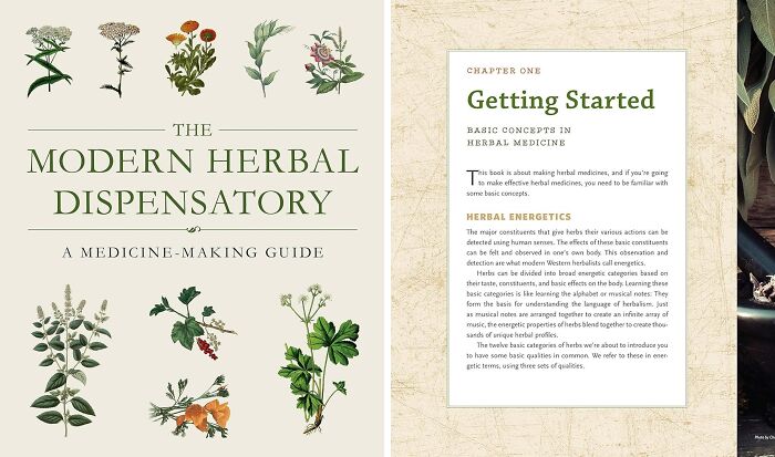 "The Modern Herbal Dispensatory" — Gwyneth Paltrow And Goop Could Never 