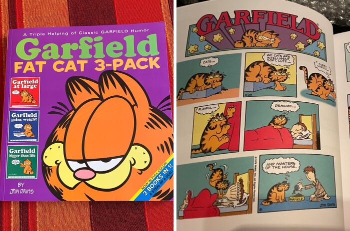 Everyone Who Hates Mondays Will Enjoy The Garfield Fat Cat 3-Pack 