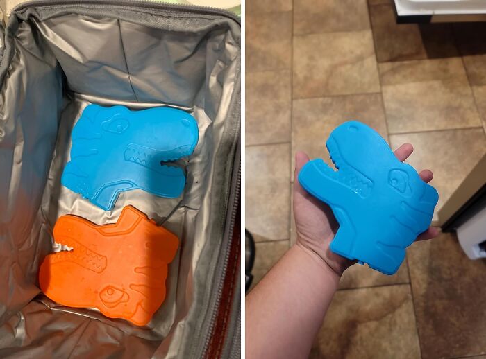  Dinosaur Ice Packs: The Must-Have Lunch Accessory For Your Little Paleontologist