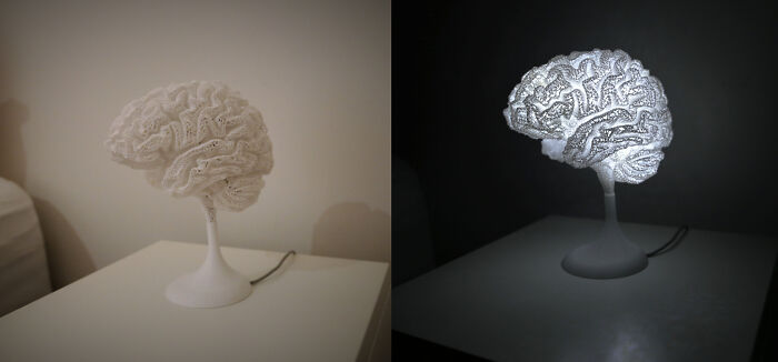 I Recently Had A Full Head Mri. Using Free Software I Was Able To Pluck My Brain Out And Turn It Into A Desk Light