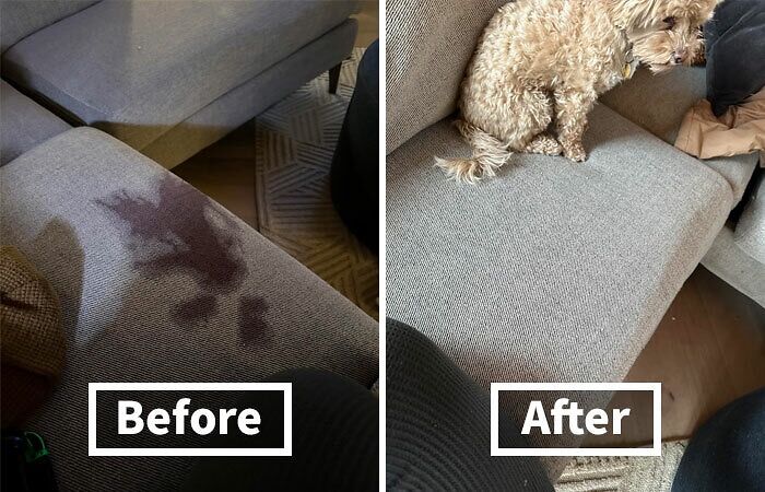  Chateau Spill: The Wine Lover's Secret Weapon Against Spills And Stains