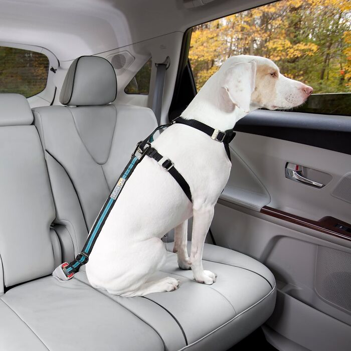  Kurgo Direct To Seatbelt Tether: Keep Your Furry Co-Pilot Safe And Secure On Every Adventure!