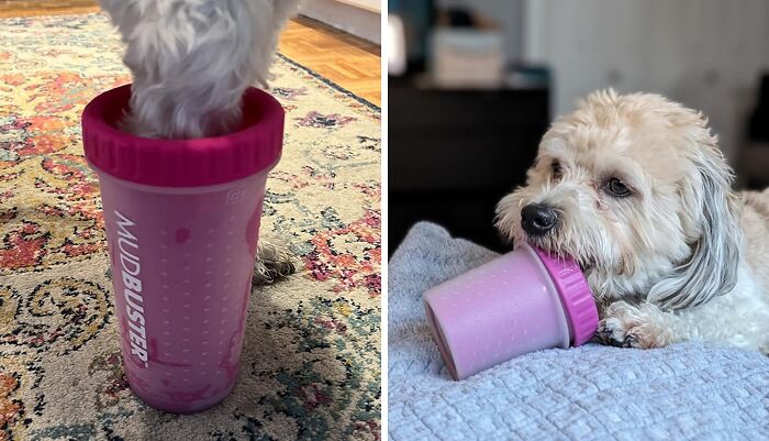  Dog Paw Cleaner: No More Muddy Paw Prints On Your Floors!