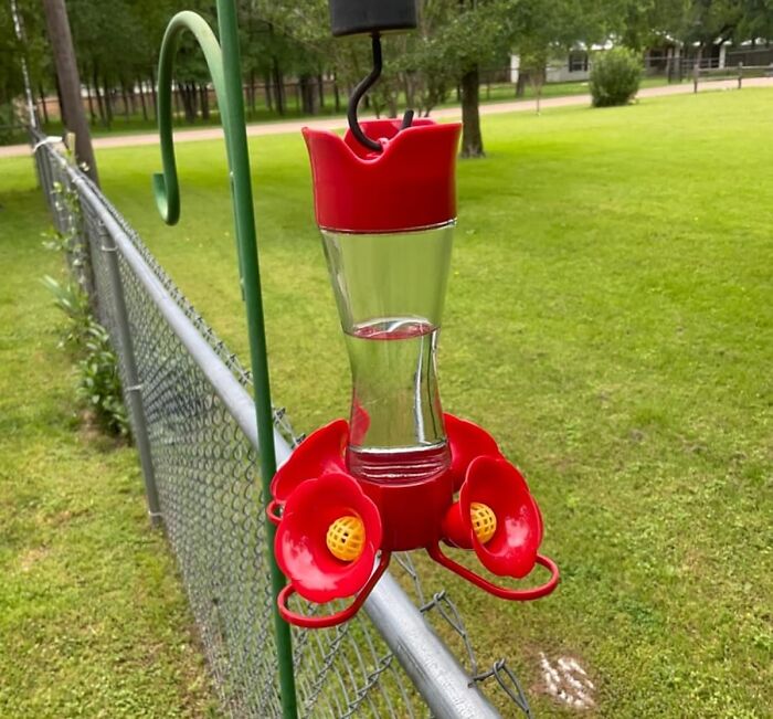 Attract Hummingbirds And Enjoy Their Dazzling Displays With A Glass Hummingbird Feeder With Perches 