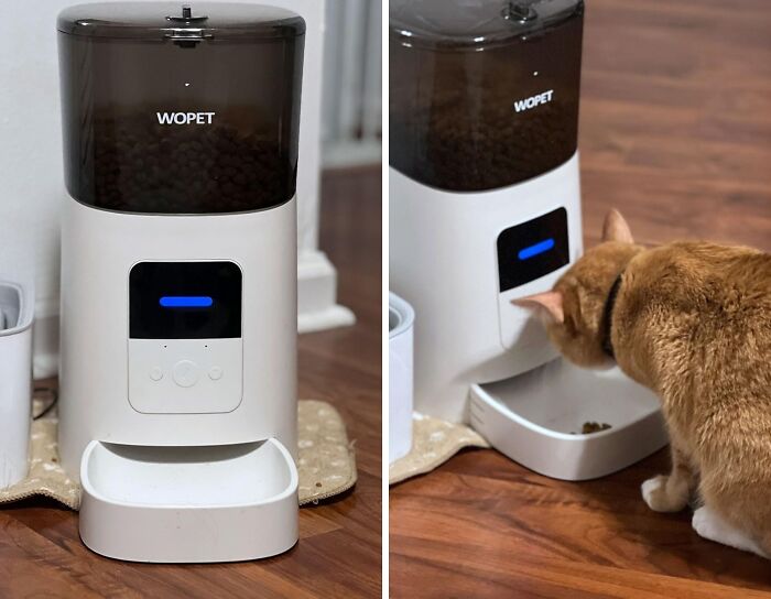 Never Worry About Missing A Feeding Again With The Automatic Cat Feeder, A Convenient And Reliable Solution For Busy Pet Owners