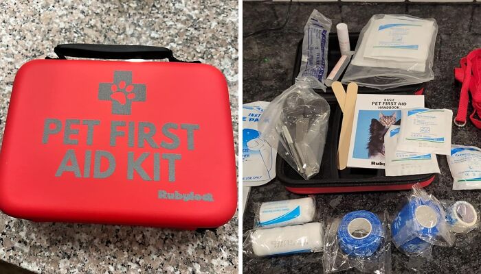 This Dog First Aid Kit Is The Paw-Fect Way To Keep Your Furry Friend Safe And Sound On Any Adventure