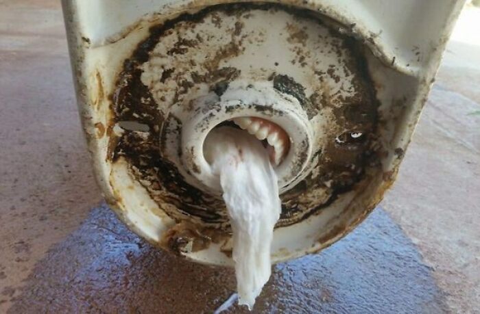 Plumbing Is Not An Easy Job, Especially With Incredibly Bizarre Objects You Might Find As The Cause Of A Clogged Sink