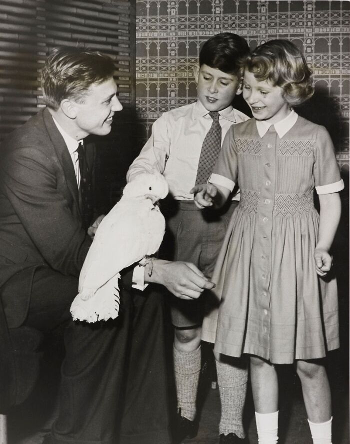 David Attenborough Entertains Prince Charles And Princess Anne With A Cockatoo. 1958