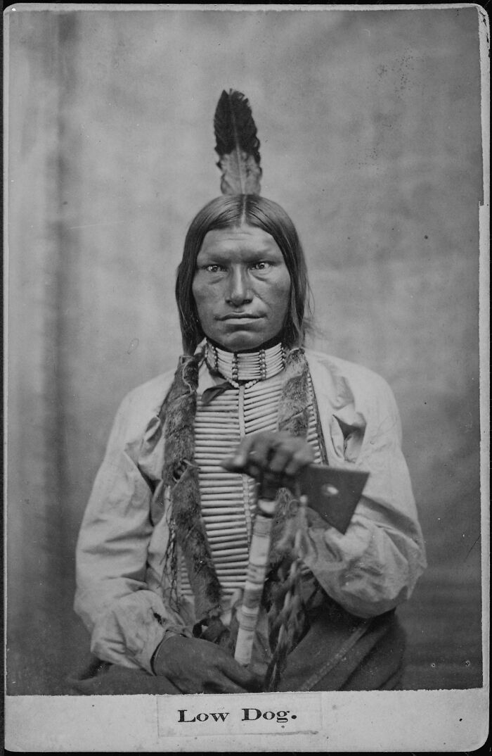 Chief Low Dog - An Oglala Lakota Chief Who Fought With Sitting Bull At The Battle Of Little Bighorn, C. 1881