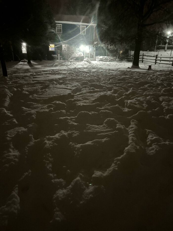 Las llaves de mi auto y de mi casa se cayeron de mi bolsillo mientras jugaba con mis perros y ahora están enterradas en la nieve