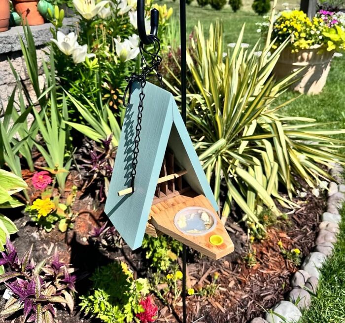 Your Garden Will Be Aflutter With Activity Thanks To This Inviting Butterfly House And Feeder – A Haven For Butterflies Seeking Rest And Nourishment