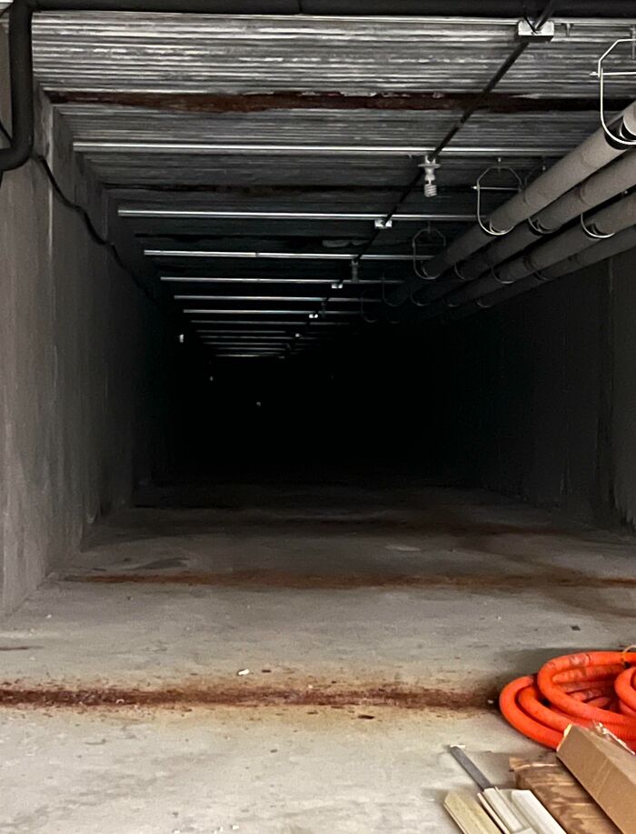 My Place Of Work, Which Is Mostly Above Ground, Has Service Tunnels That Cover The Whole Complex. I Swear I Can Hear Something Moving In There. Probably Just Birds Or Rodents