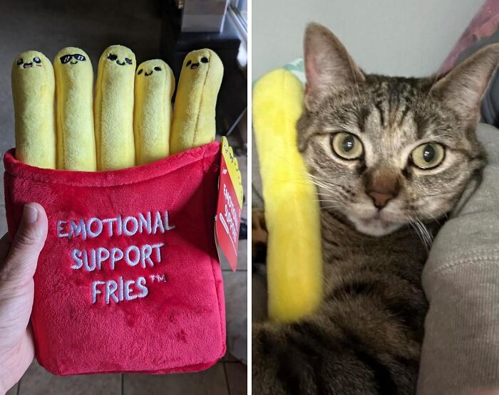 Your Mood Swings Are No Match For These Emotional Support Fries – They'll Be There For You Through Thick And Thin [ Cut]