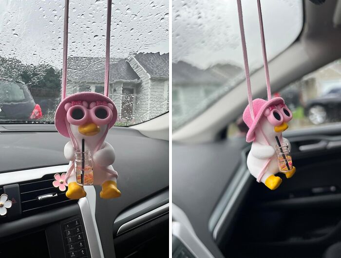 Let This Swinging Duck Be Your Co-Pilot, Keeping You Entertained On Even The Dullest Commutes