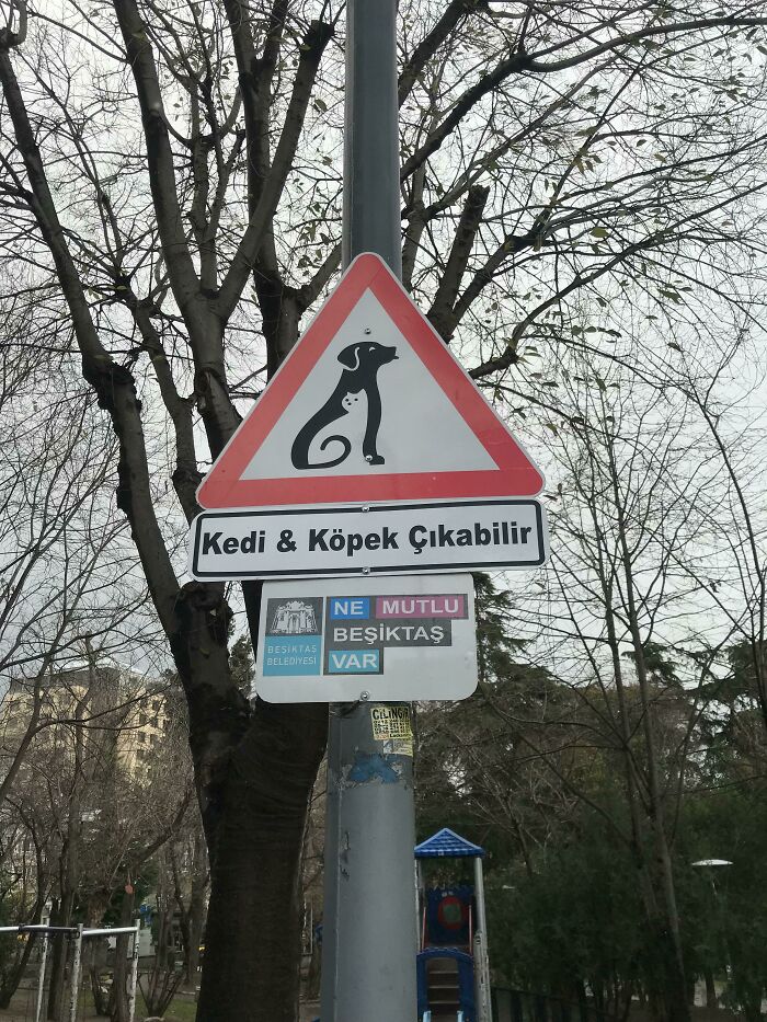 A Road Sign Near A Park In Istanbul, That Says “Watch Out For Cats And Dogs”