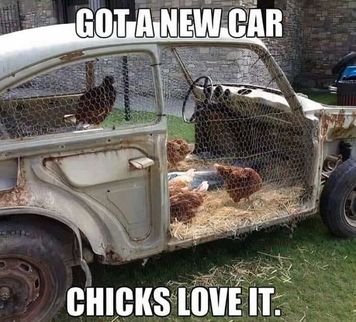 Chickens inside a rusty car with straw and mesh, captioned humorously. Funny animal meme.