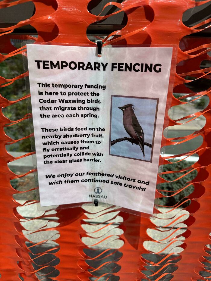 This Sign For Temporary Fencing To Protect Birds