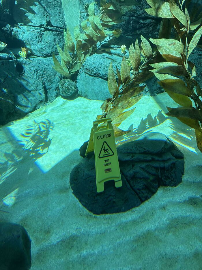 This Underwater Wet Floor Sign