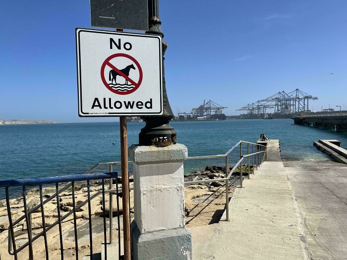 No Horses Allowed In The Sea Sign