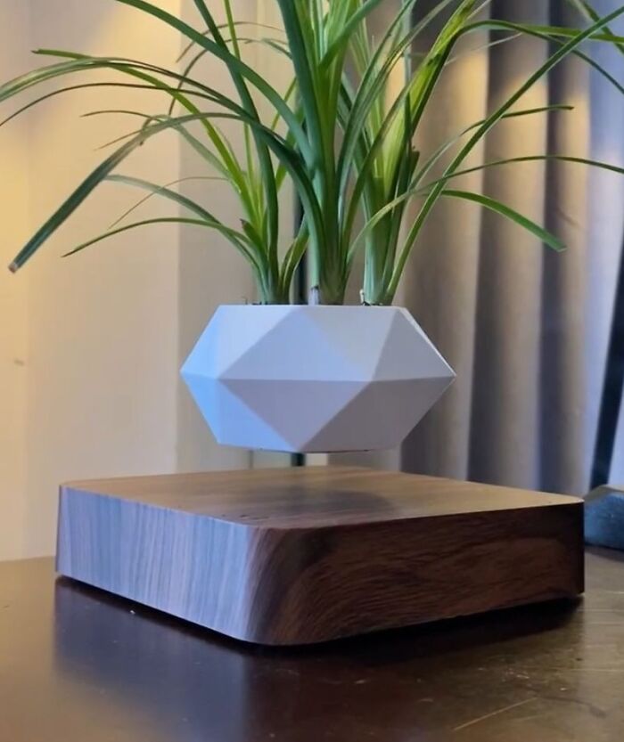 This Levitating Air Bonsai Pot Defies Gravity And Will Make Your Plants The Star Of Any Room