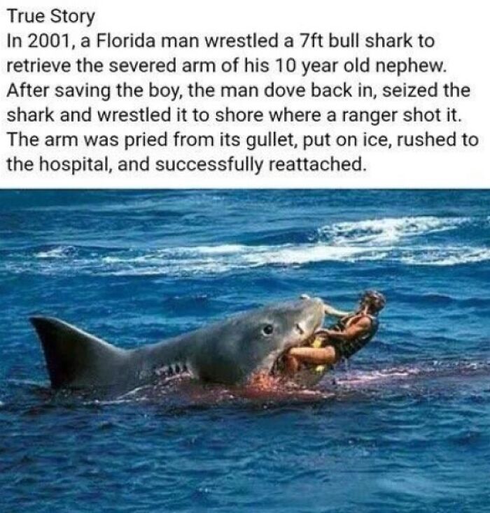 Man Fights Shark! (Repost From R/Madlads)