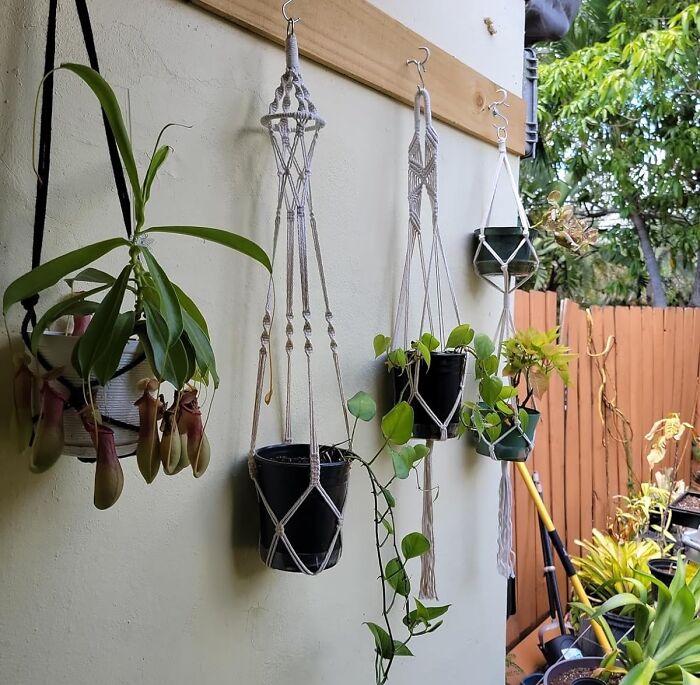 These Macrame Plant Hangers Are So Chic, They'll Make Even Your Most Basic Houseplants Look Like They Belong In A Magazine