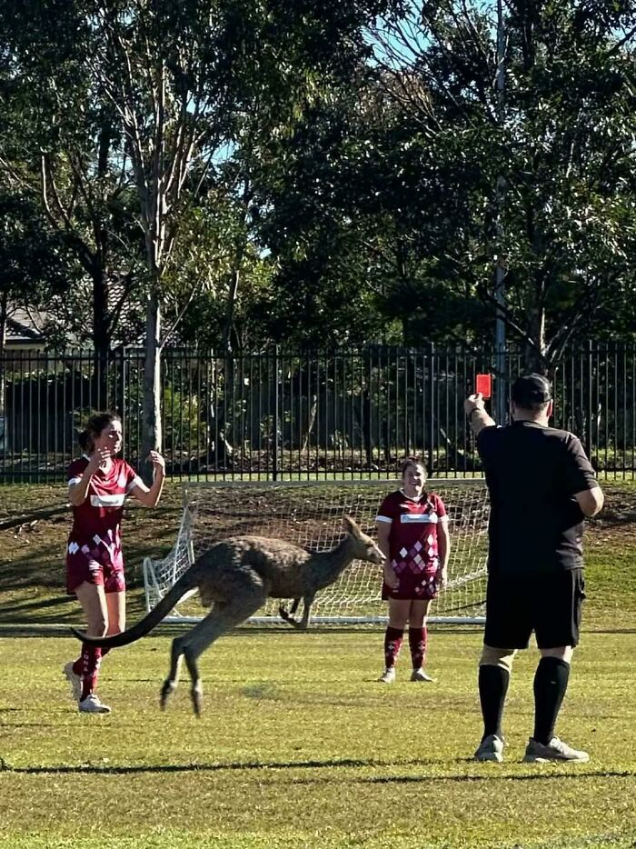 Port Macquarie Football 