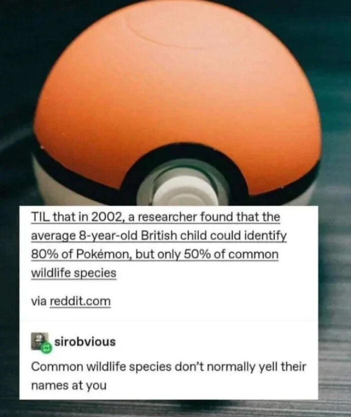 Pokemon Names