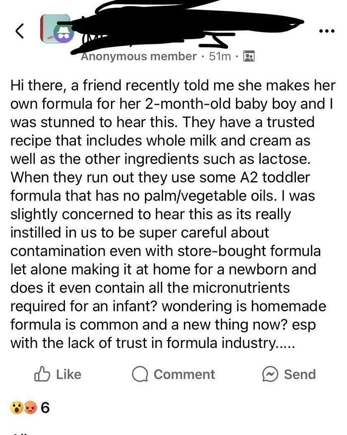 Homemade Formula