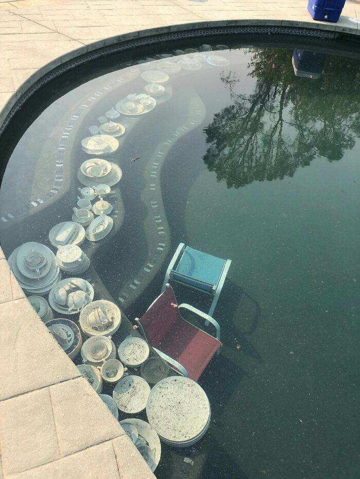 My Mom Has 5 Sets Of China (Don't Ask) And Put Them In Her Pool Prior To Being Evacuated From Fires In Northern California. The Dishware Survived