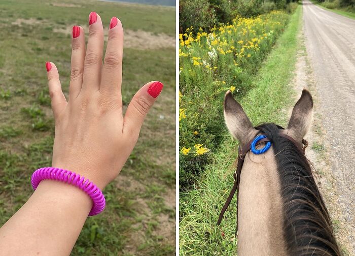  Burning Sage Isn't Just Against Bad Juju, It Also Wards Off Mosquitos! But These Anti-Mosquito Bracelets Work Hard Day And Night