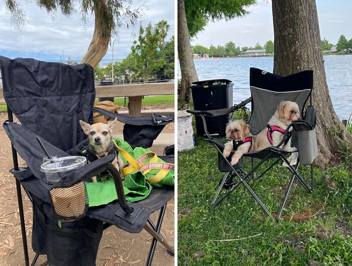  A DIY Sit-Upon From Grocery Bags Is A Glassic Girl Scout Trick. But For Extra Comfort, Invest In A Durable Camping Chair 