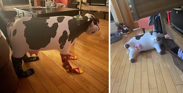  It Seems Like Larry The Inflatable Cow Got Into The Eggnog Again