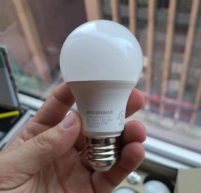  Energy-Efficient Light Bulbs Can Help You Cut Costs