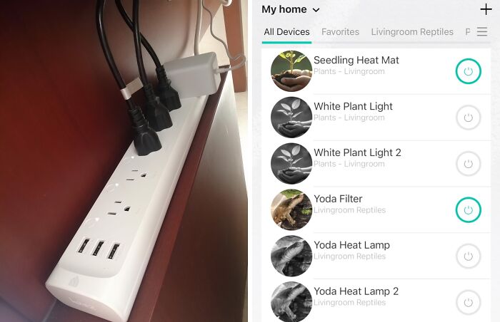 Smart Power Strips Can Help Save Electricity