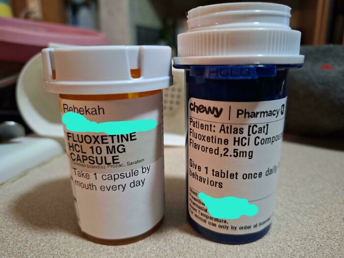 My Wife And Cat Have Been Prescribed The Same Meds