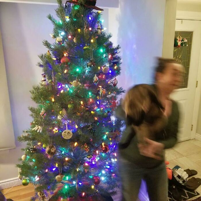 To Take A Nice Christmas Picture With My Cat